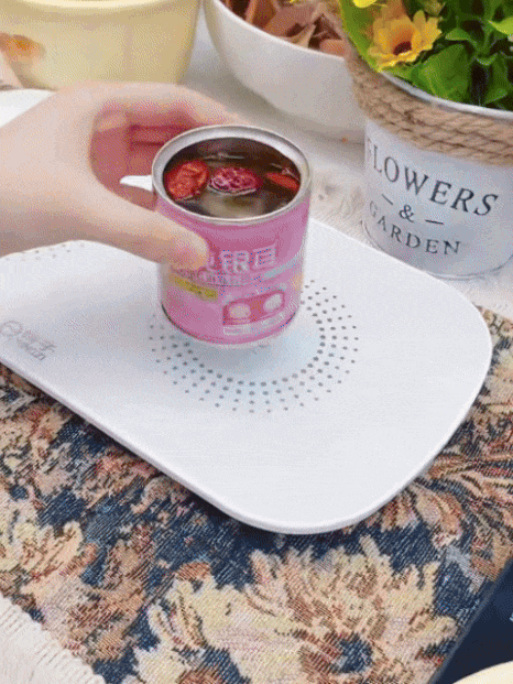 Intelligent Constant Temperature Heated Serving Tray